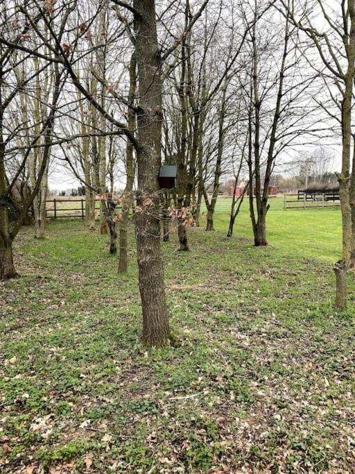 The Woodland Appartement Wyboston Buitenkant foto
